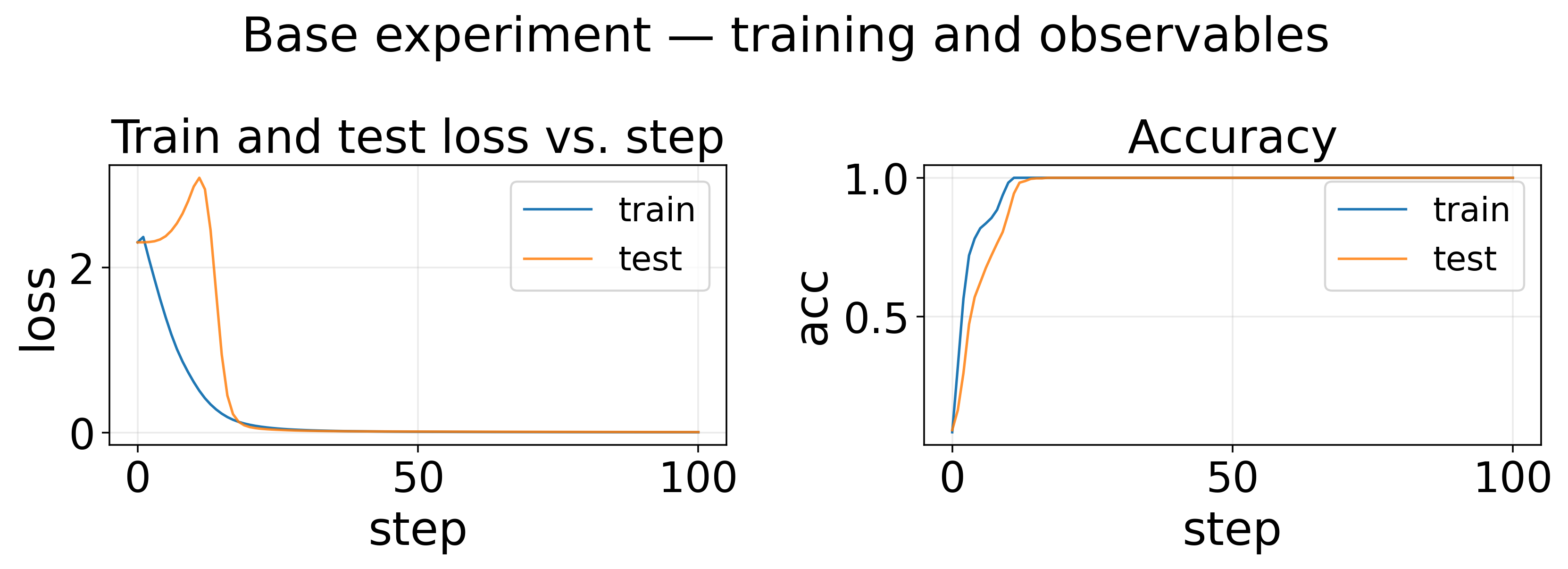 Base experiment — training and observables